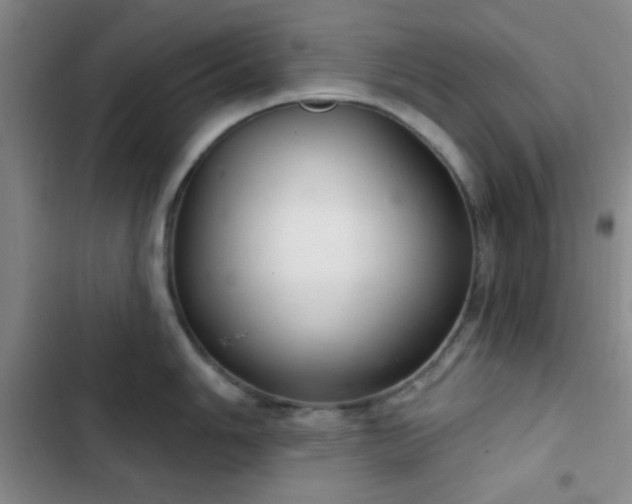 X0000103171006200808221230