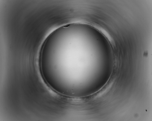 X0000103171007200808221230