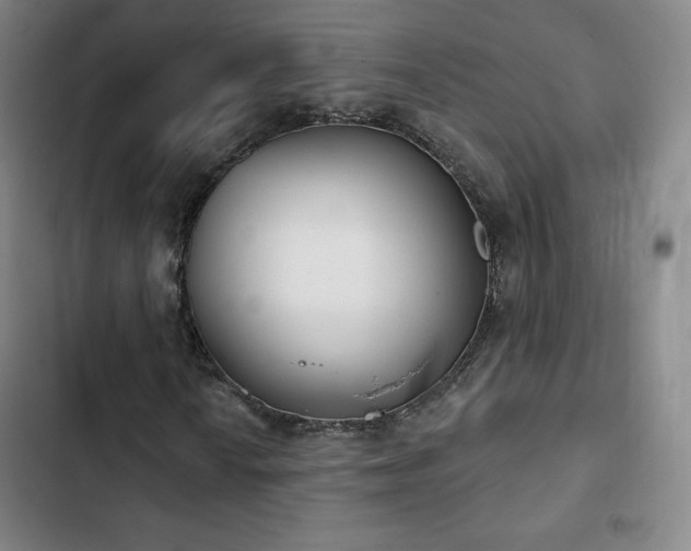 X0000103171010200808221229
