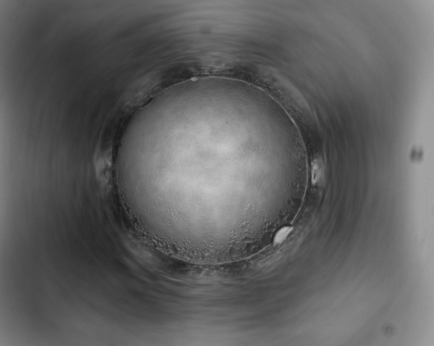 X0000103171011200808221229