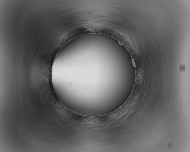 X0000103171012200808221229