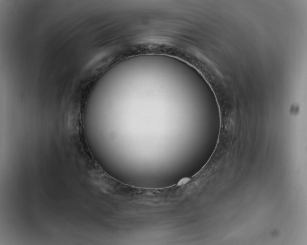X0000103171014200808221229