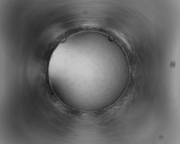 X0000103171015200808221229