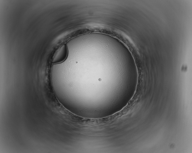 X0000103171016200808221229