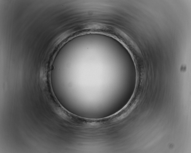X0000103171017200808221229