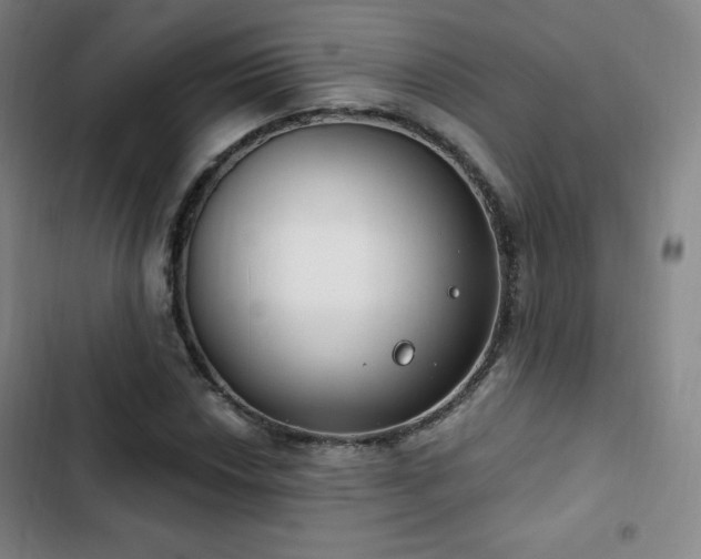 X0000103171018200808221229