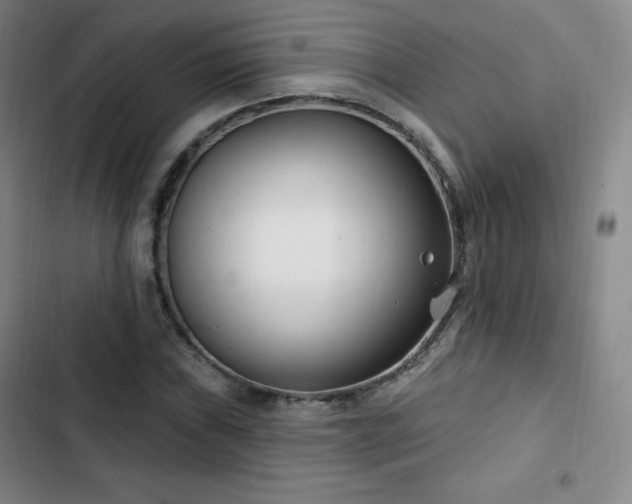 X0000103171019200808221229