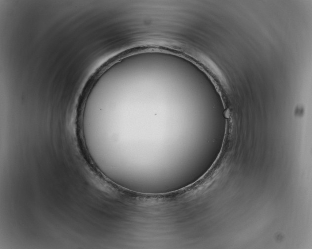 X0000103171020200808221229