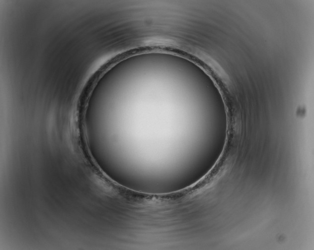 X0000103171022200808221229