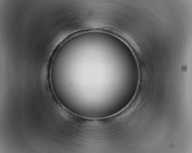 X0000103171023200808221229