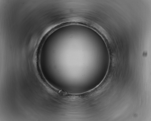 X0000103171024200808221229