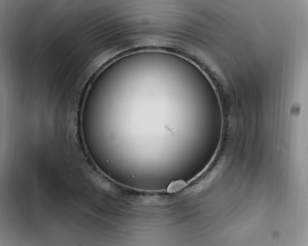 X0000103171025200808221229