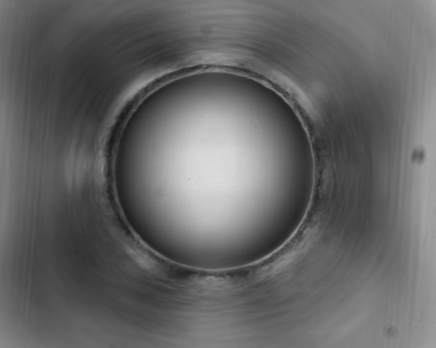 X0000103171027200808221230