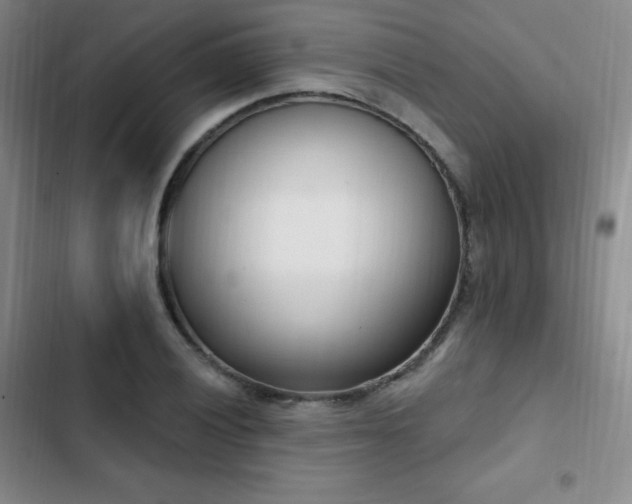 X0000103171028200808221230