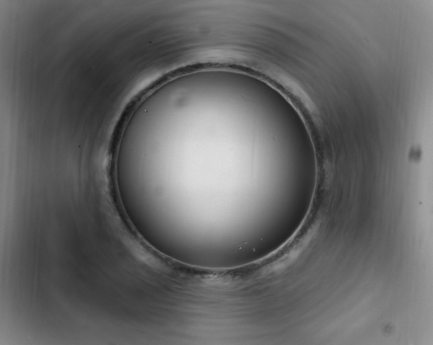 X0000103171029200808221230