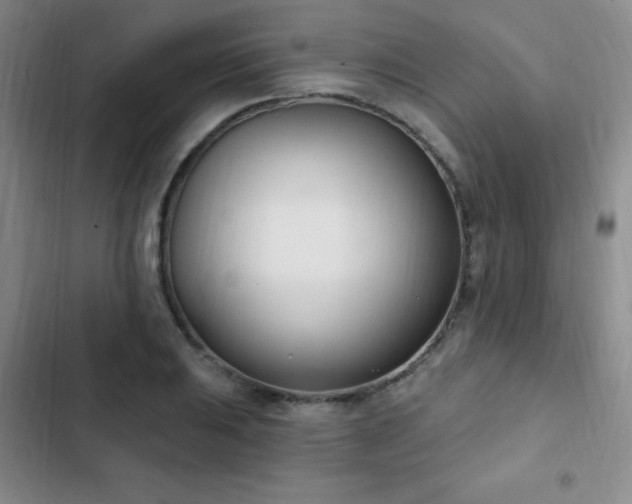 X0000103171031200808221230
