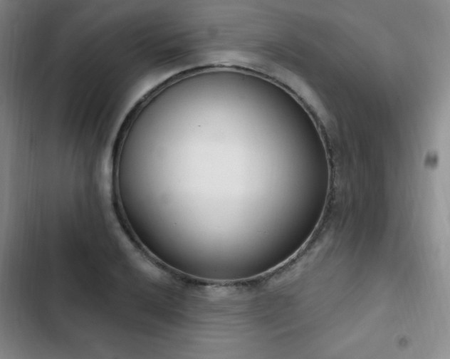 X0000103171032200808221230