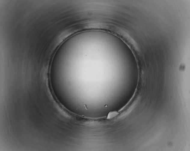 X0000103171033200808221230