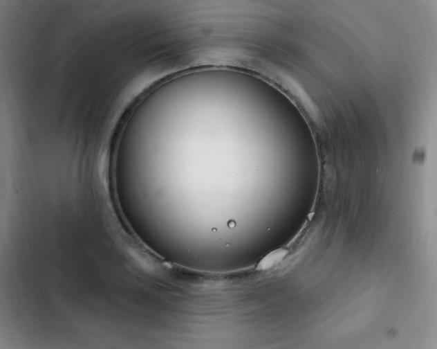 X0000103171035200808221230