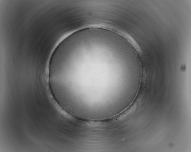 X0000103171036200808221230