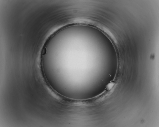 X0000103171037200808221230