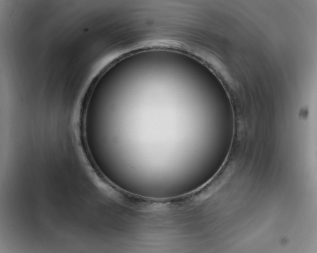X0000103171038200808221230