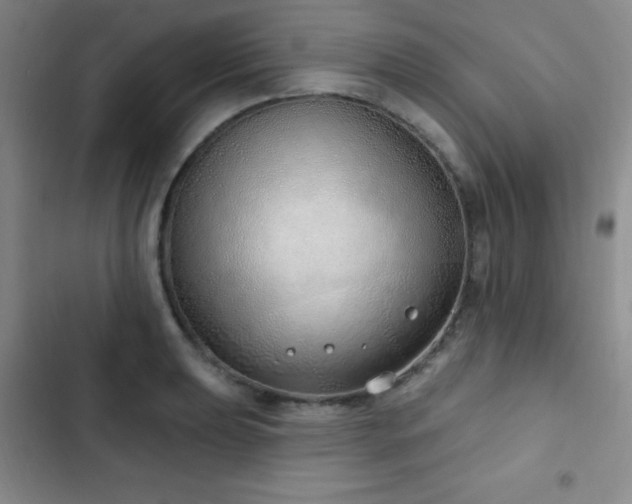 X0000103171039200808221230