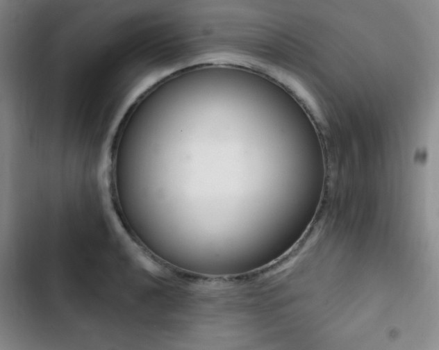 X0000103171040200808221230