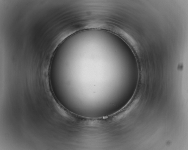 X0000103171041200808221230