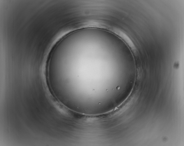 X0000103171043200808221230