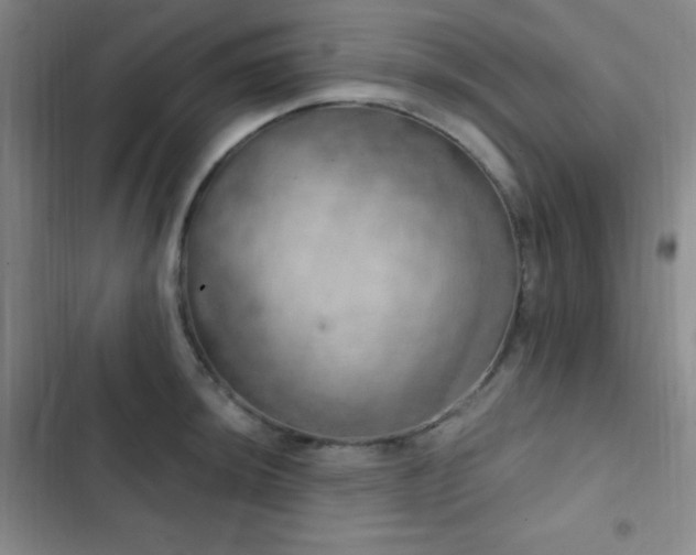 X0000103171044200808221230