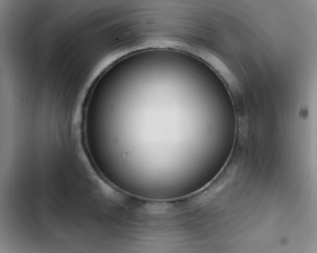X0000103171046200808221230