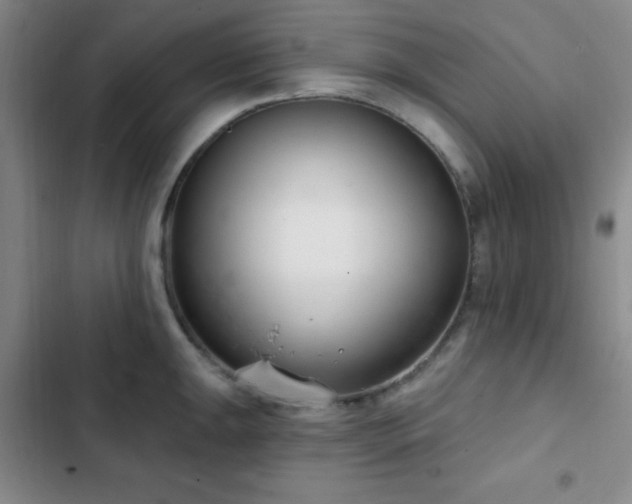 X0000103171047200808221230