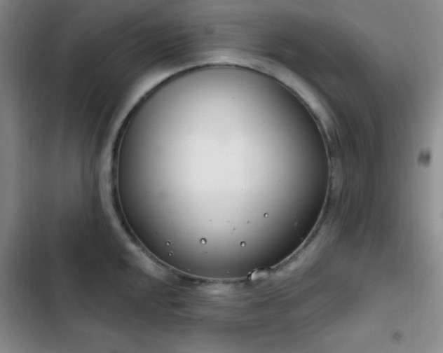 X0000103171048200808221230