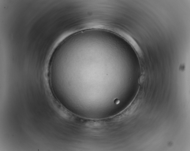 X0000103171051200808221230