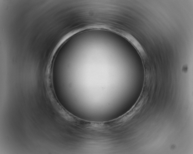 X0000103171052200808221230