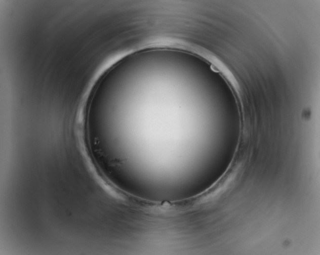 X0000103171053200808221230