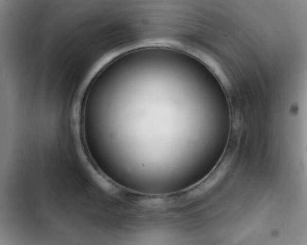 X0000103171054200808221230