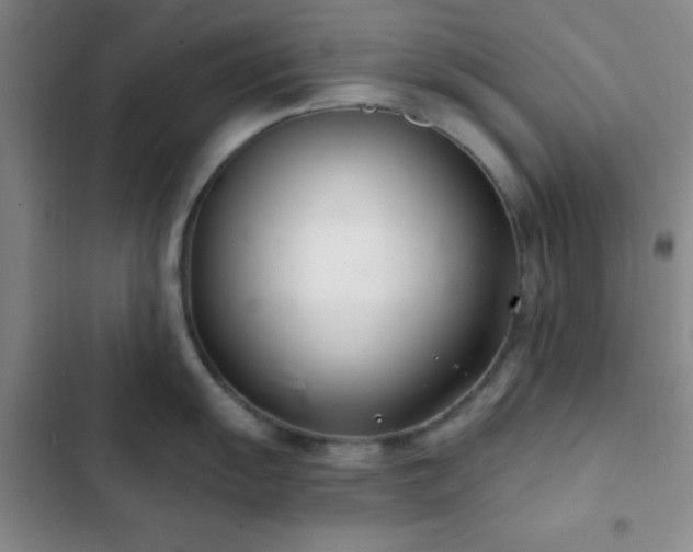 X0000103171055200808221230