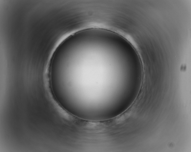 X0000103171056200808221230