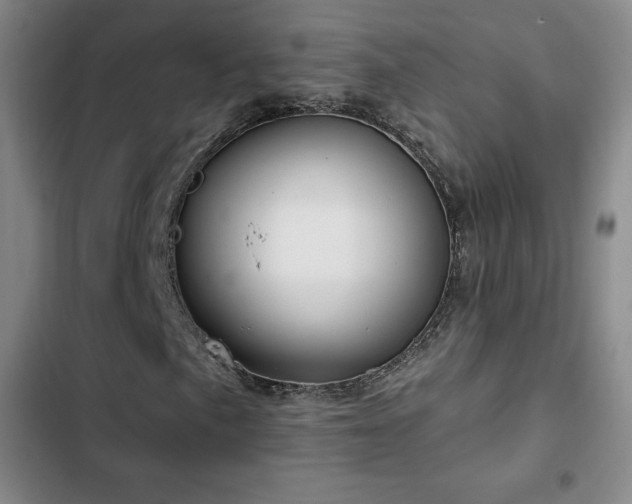 X0000103171057200808221229