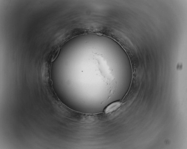 X0000103171058200808221229