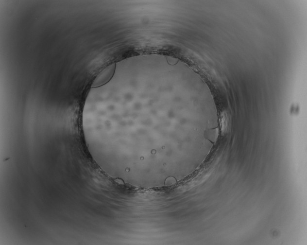 X0000103171059200808221229