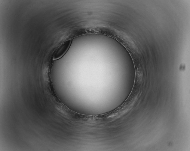 X0000103171060200808221229