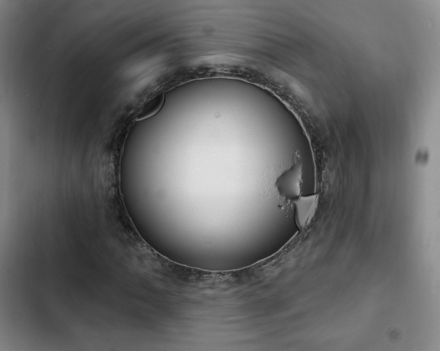 X0000103171062200808221229