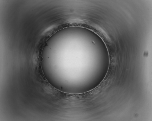 X0000103171063200808221229