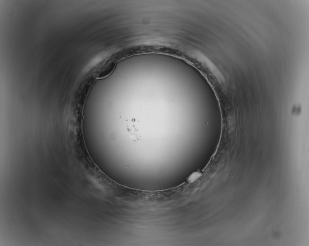 X0000103171064200808221229