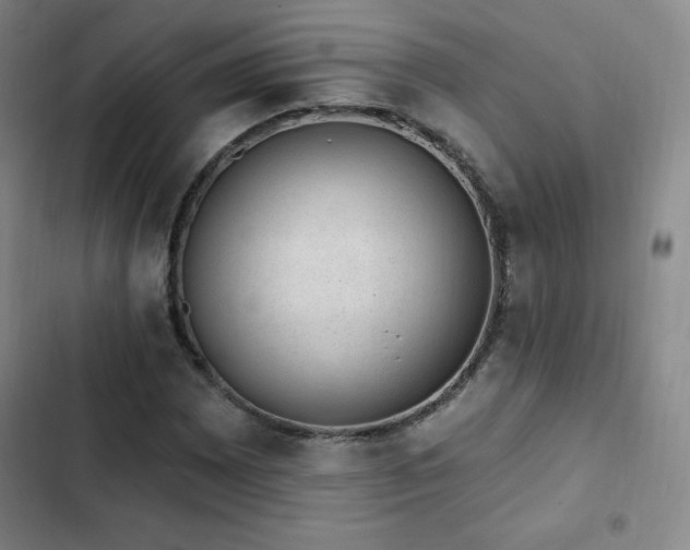 X0000103171065200808221229