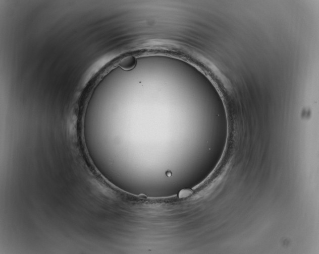 X0000103171066200808221229