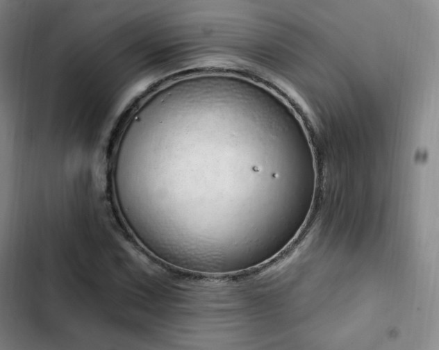 X0000103171067200808221229